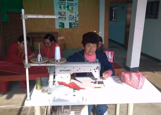 Un sueño que se hizo realidad. La máquina de coser