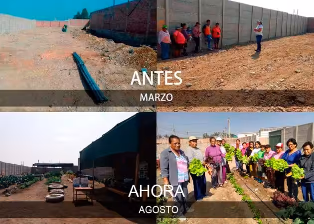 Bitácora: Biohuerto del Adulto Mayor Mes de Agosto