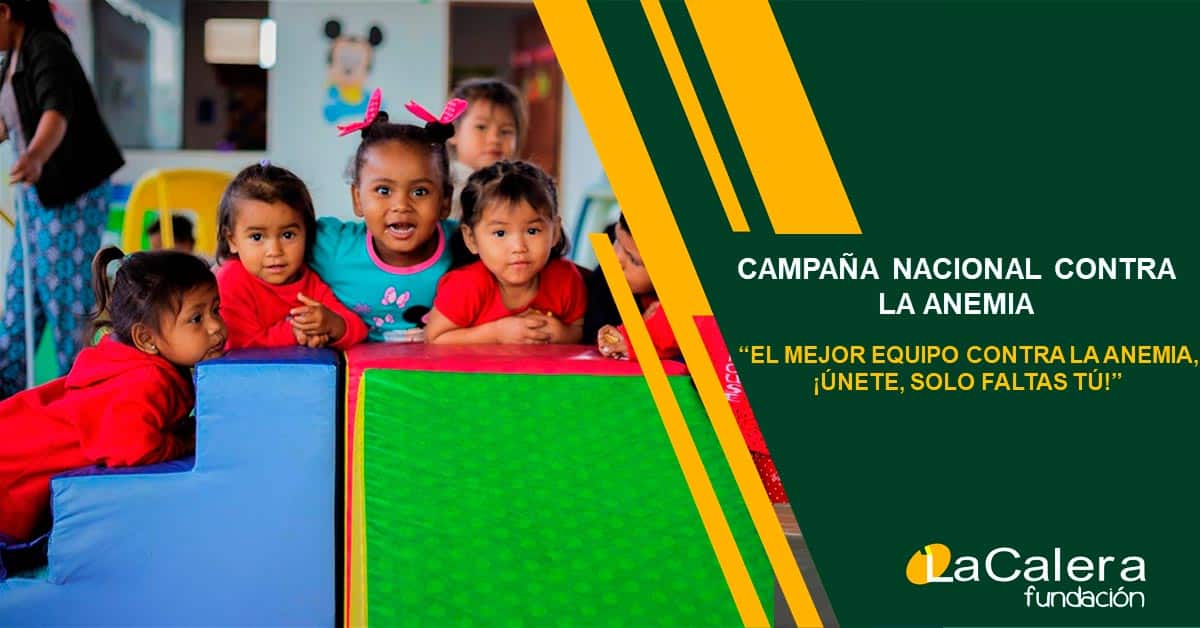 Campaña Nacional contra la Anemia - Fundación La Calera