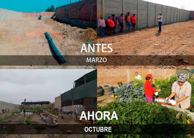 Bitácora del biohuerto del adulto mayor mes de octubre