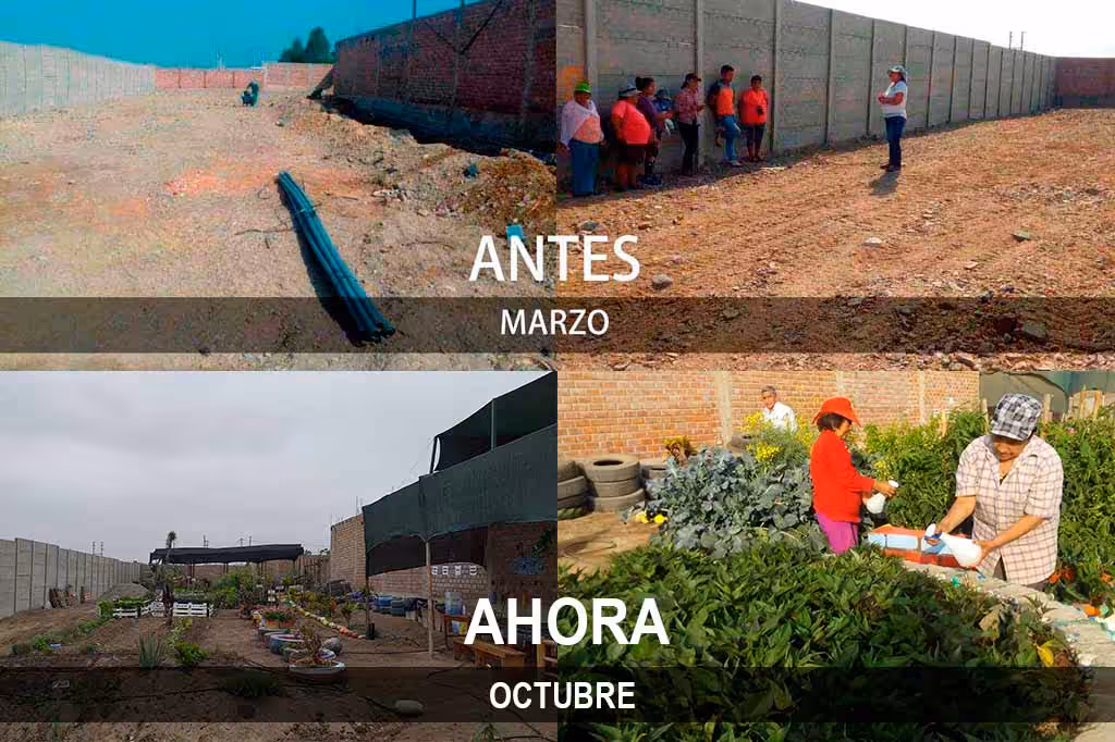 biohuerto-del-adulto-mayor-mes-octubre