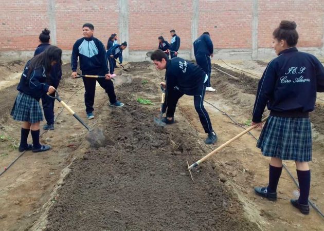 Fortalecimiento en el área de Educación para el Trabajo de la IE. Ciro Alegría