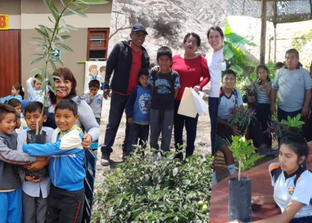 Minedu otorga Bono Escuela a colegios de Alto Larán